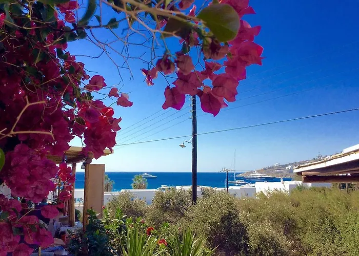 Manos * Platys Gialos (Mykonos)