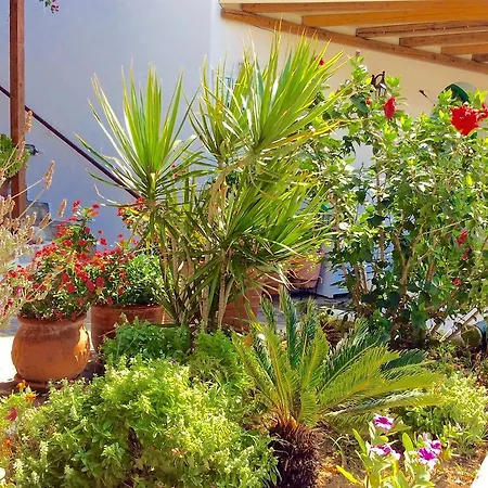 Manos Apartment Platys Gialos (Mykonos)